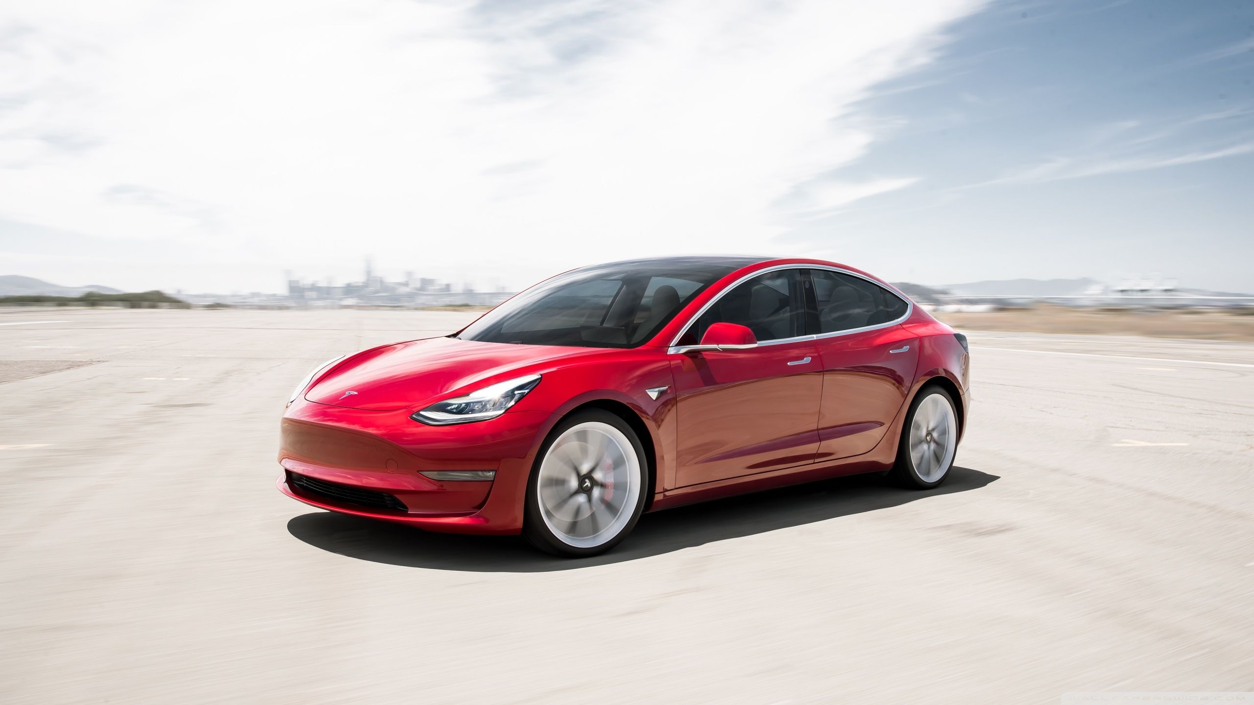 Tesla Model 3 Interior