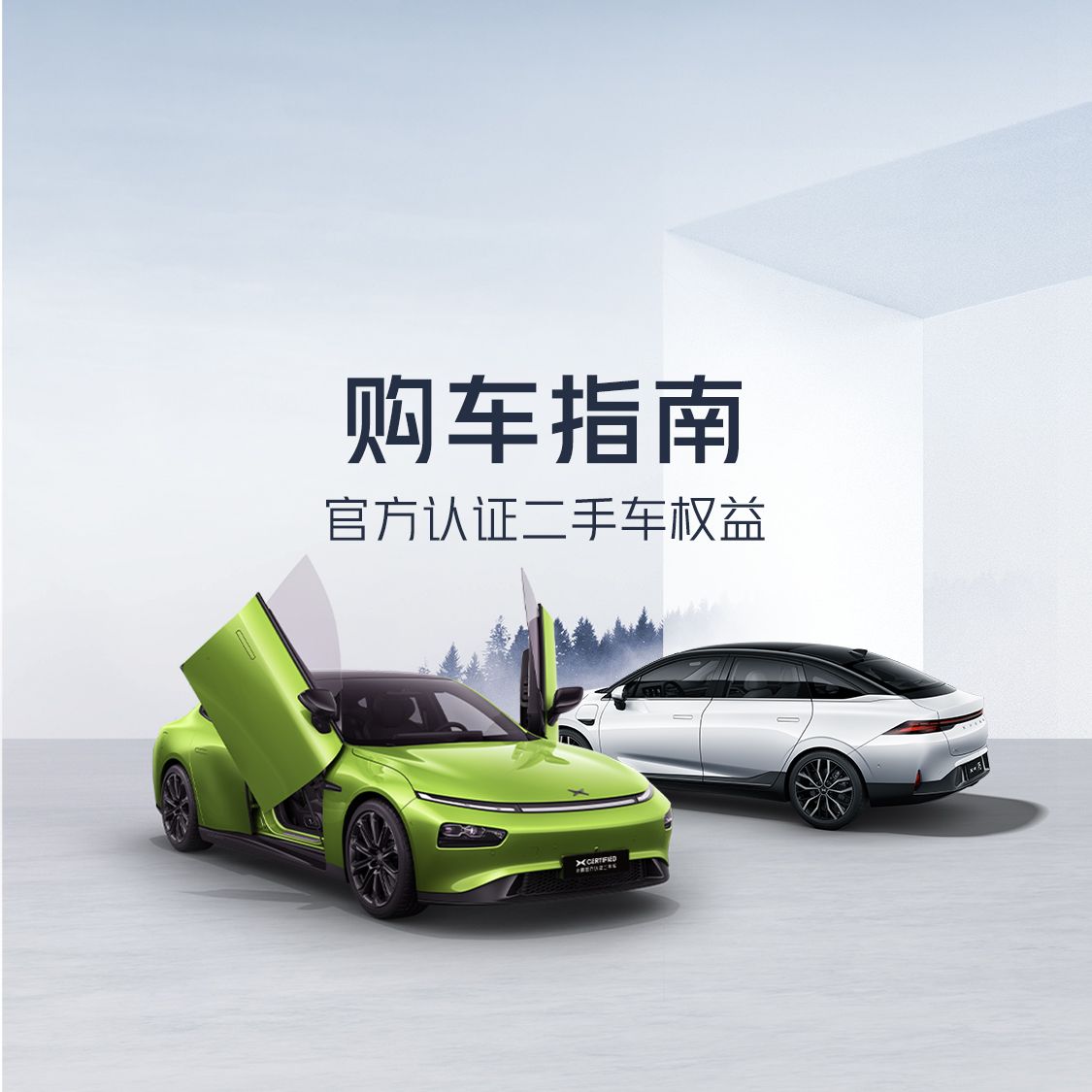 Concessionária BYD